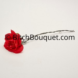 Blood Barbed wire rose 