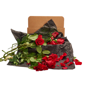 dead flower box, dead rose box gift
