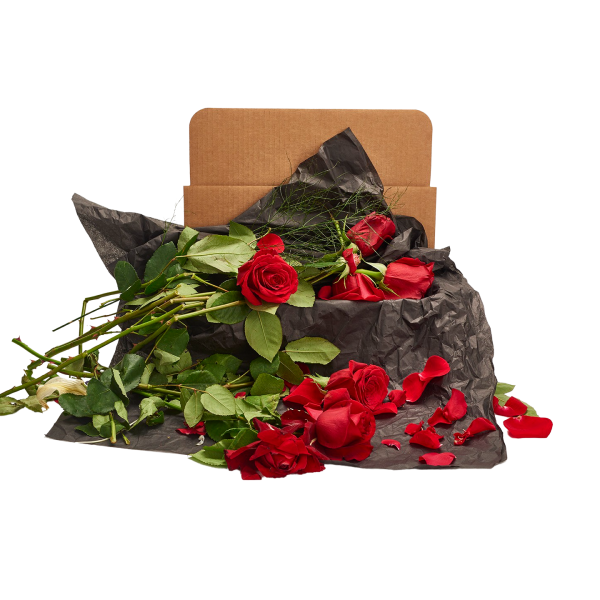 dead flower box, dead rose box gift